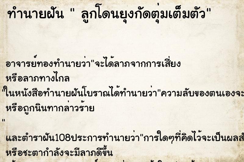 ทำนายฝัน  ลูกโดนยุงกัดตุ่มเต็มตัว